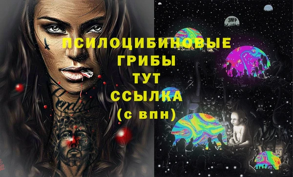 spice Баксан