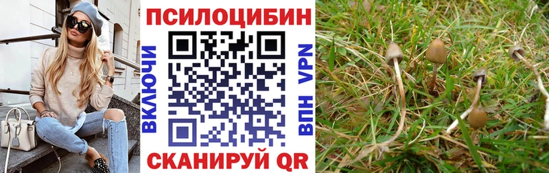 ОМГ ОМГ ссылка  как найти   Черногорск  Галлюциногенные грибы ЛСД 